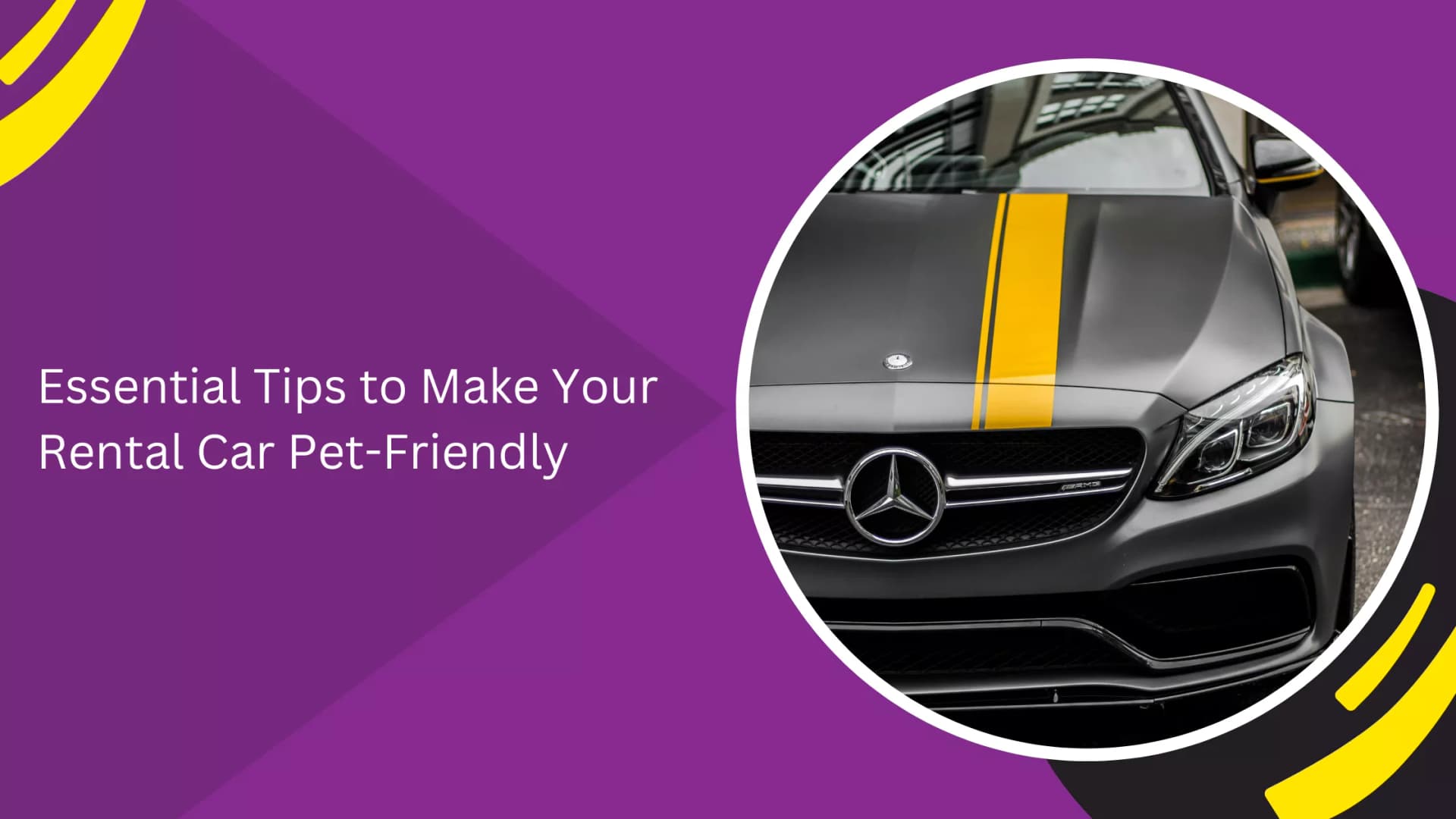 Essential Tips to Make Your Rental Car Pet-Friendly_blogs