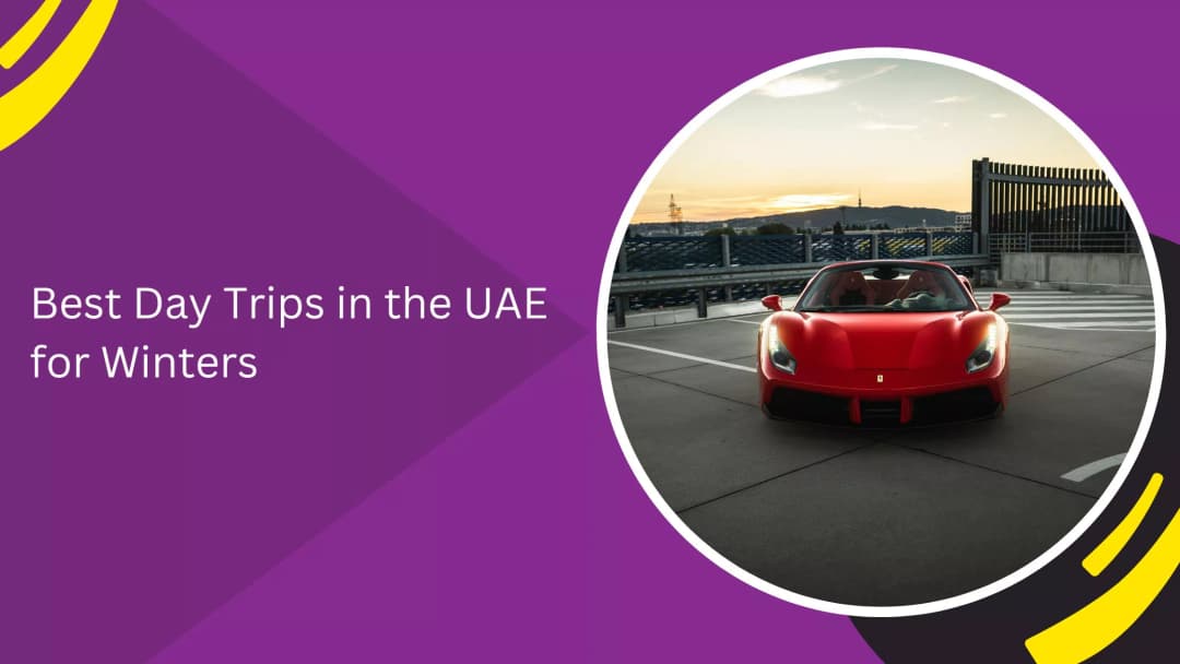 أفضل الرحلات اليومية في الإمارات العربية المتحدة لفصل الشتاء