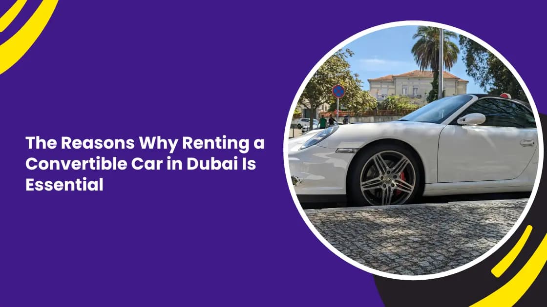 rent a car near me_blogs